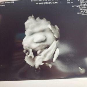 Meet your Posher, Leo